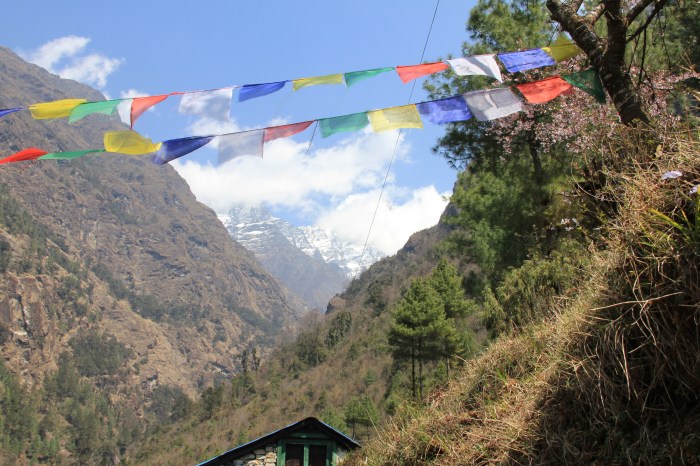 Welcome to the Khumbu