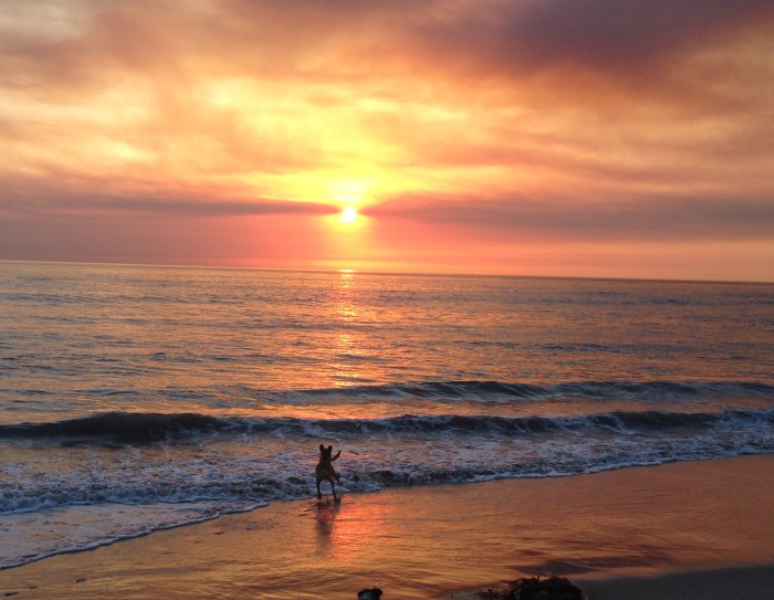Sunset at the Dog Beach in Del Mar - A Daily Occurrence